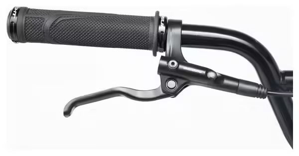 Chase EDGE Pro 2025 20’’
