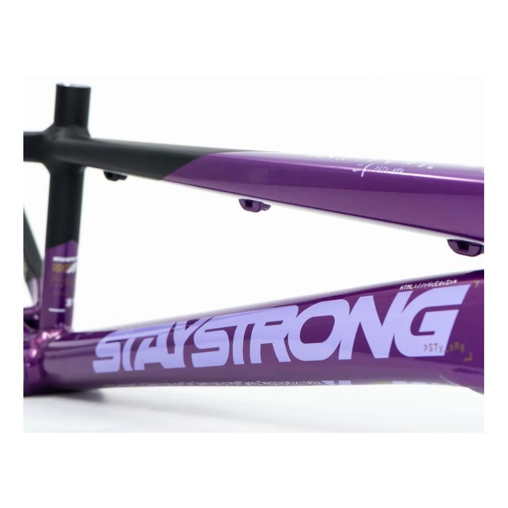 Cadre Stay Strong For Life V5 2025 - Purple / Black