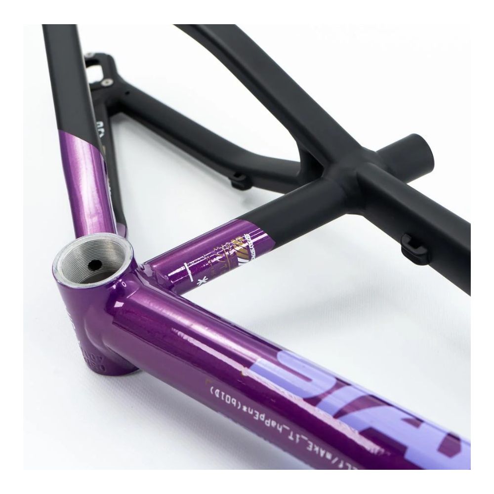 Cadre Stay Strong For Life V5 2025 - Purple / Black